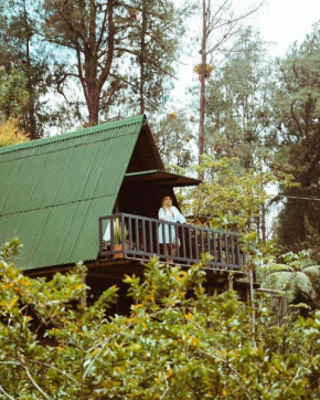 Cardinal Glamping